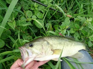 o0713053413742477088