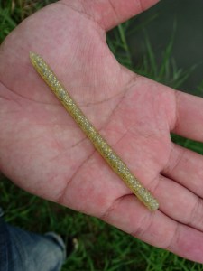 o0764101913742477087