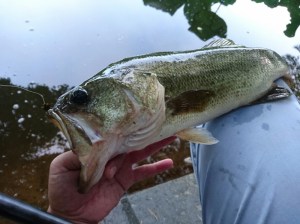 o0917068713741042789