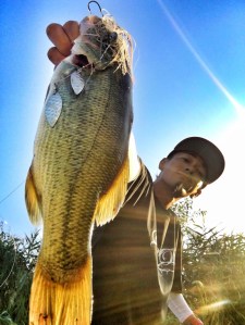 o0960128013744743116