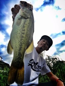 o0966128813743284126