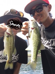 o1106147513745543108