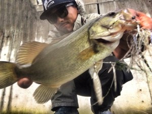 o1280096013751193642