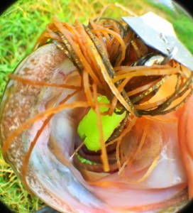 o1398154413743284127