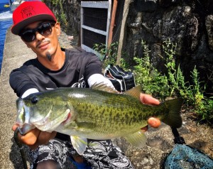 o1898151213745543110