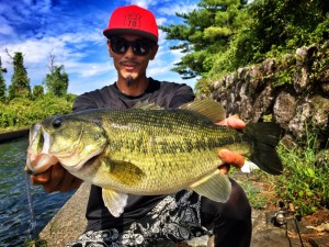 o2016151213745543109