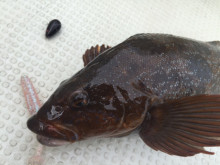 t02200165_0640048013751346818