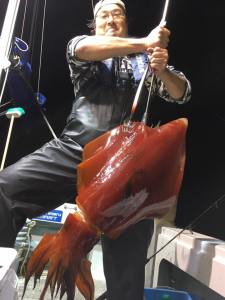 14729213_1273457196039400_281229963544861993_n