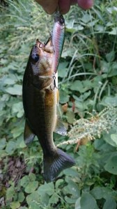 o0360064013762888879