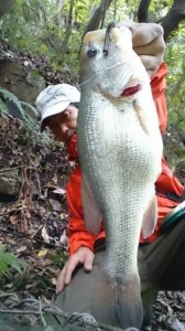 o0360064013762888881