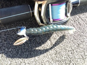 o0480036013766703856