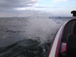 o0480036013767042757