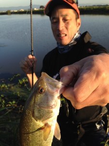 o0480064013761037773