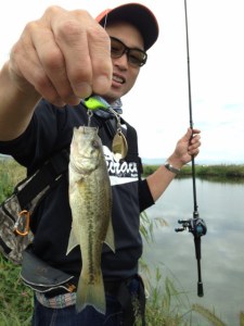 o0480064013761037783