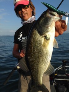 o0480064013767042749