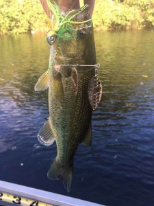 o0480064013769343915