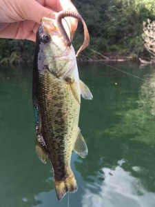 o0480064013769343918