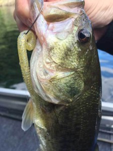 o0480064013769343919