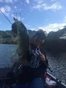 o0480064013769344084