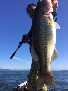 o0480064113769230829