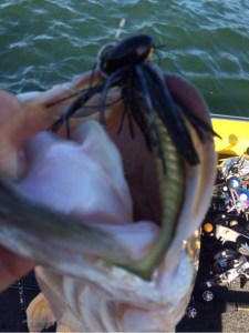 o0480064113769230835