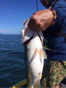 o0480064113769230845