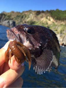 o0480064113775880296