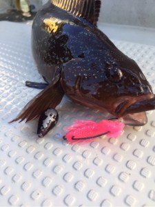 o0480064113775880310