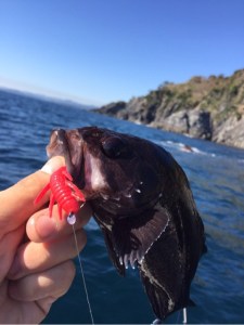 o0480064113775880328