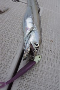 o0480072013770235873