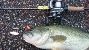 o0640036013762888880