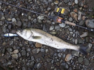 o0640048013762893925