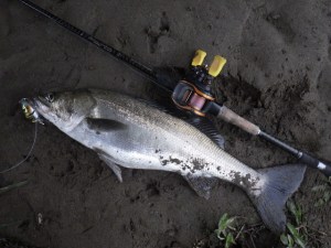 o0640048013762893926