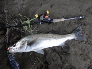 o0640048013762893927