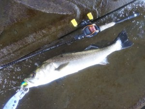 o0640048013762893929