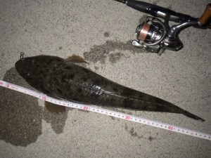 o0640048013781700043