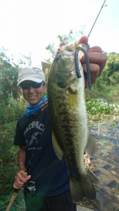 o0960170613762882069