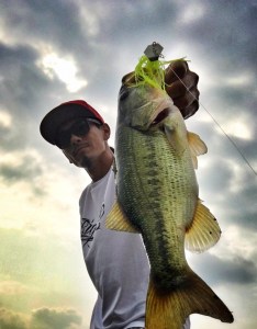 o0998128013767849326