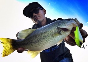 o1280090613781695959