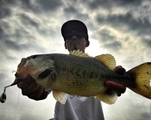 o1280102213767849325