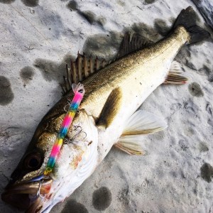 o1280128013765247487