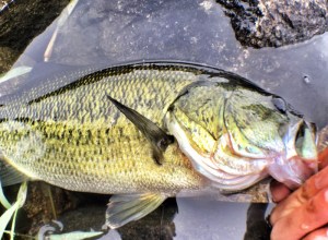 o1358100013768580579