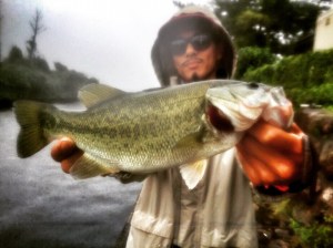 o1478110713761376494