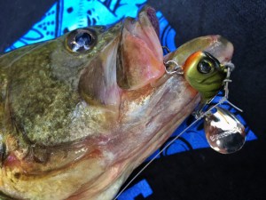 o2016151213768580578