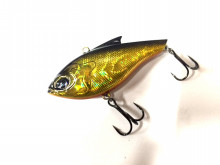 t02200165_0640048013760637056