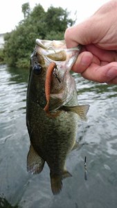 o0270048013790352356