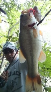 o0360064013783243949