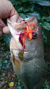 o0360064013783243956