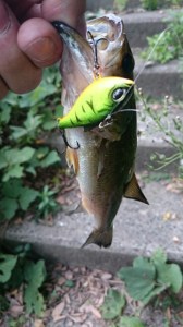 o0360064013783243977