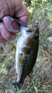 o0360064013790517772